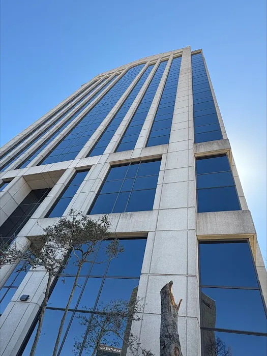 The Law Office of Fidel Alex Martinez, PLLC 4