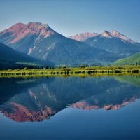 Leta Brandes Law, LLC ico