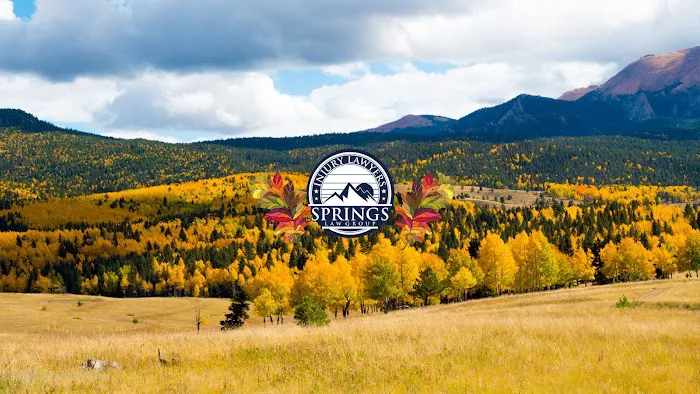 Springs Law Group - Colorado Springs Car Accident Lawyer & Personal Injury Attorney 5