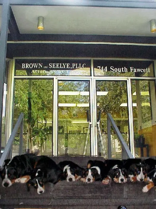 Brown and Seelye 4