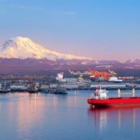 Washington State Attorneys, PLLC ico