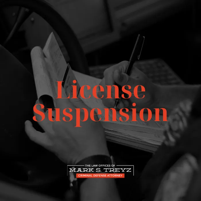 Law Office of Mark S. Treyz 5