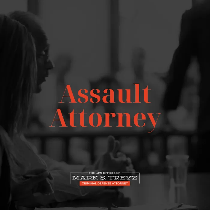 Law Office of Mark S. Treyz 5