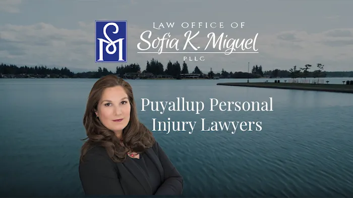 Law Office of Sofia K. Miguel, PLLC 4