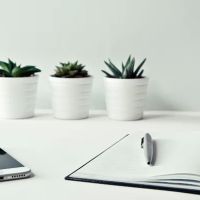 Adler Law Group Entertainment & IP Law ico
