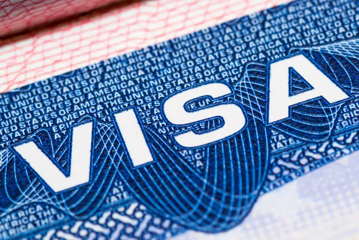 Freedom Immigration 4