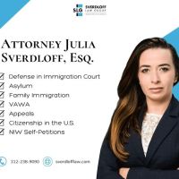Sverdloff Law Group, PC ico