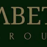 Elizabeth Jones Law Group P.LLC ico