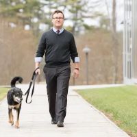 Steffans Legal - The Employment Law Firm ico