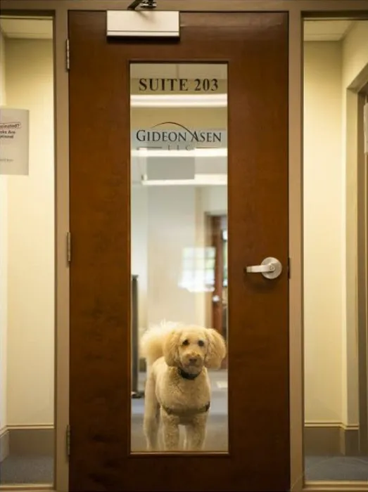 Gideon Asen LLC 4