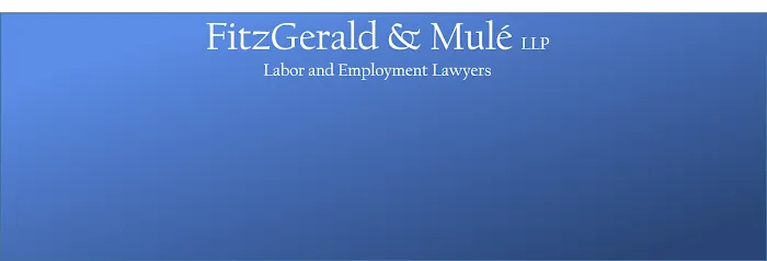 FitzGerald & Mulé LLP 4