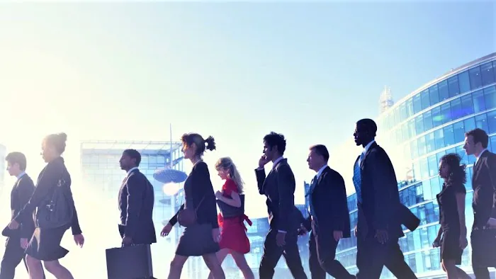 MA Employment Lawyers | Worcester Employment Lawyers 5