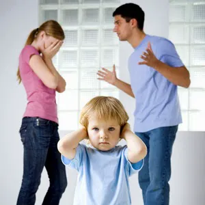 Feldman Family Law 4