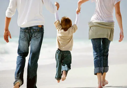 Feldman Family Law 4