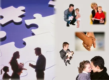 Feldman Family Law 4