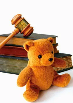 Feldman Family Law 4