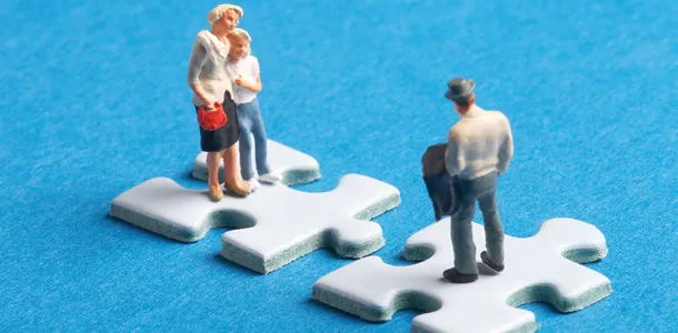 Feldman Family Law 4