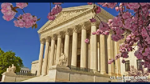 DelSignore Law 4