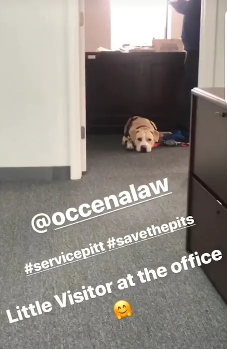 Occena Law, P.C. 4
