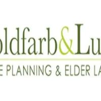 Goldfarb & Luu ico