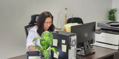 Law Offices Los Abogados