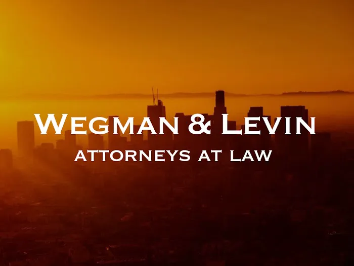 Wegman & Levin 4