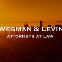 Wegman & Levin ico