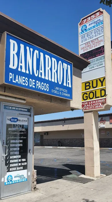 Bankruptcy/Bancarrota''No Mas Deudas'