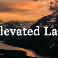 Elevated Law ico