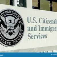 Pro Forma Immigration Attorneys ico