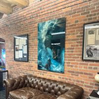 Zaner Law Personal Injury & Car Accident Lawyers Denver ico