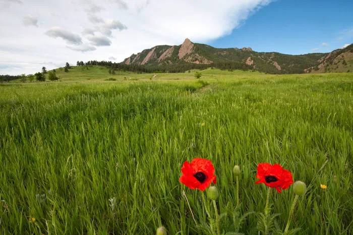 Colorado Bankruptcy Law Group, LLC 5