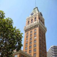 Meyer Law Group LLP ico