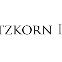 Lars Etzkorn Law PLLC ico