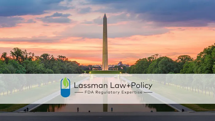 Lassman Law+Policy 4