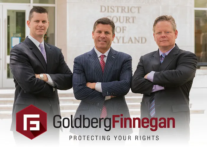 Goldberg Finnegan 5
