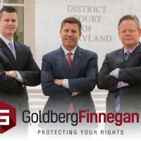Goldberg Finnegan ico