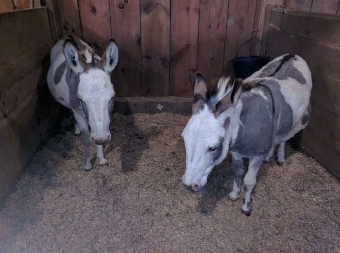 Maddox Hoppe Hoofnagle & Hafey 4