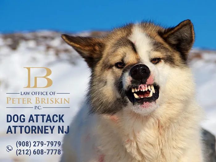 NYC Personal Injury Experts 4