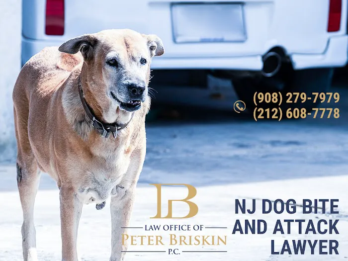 NYC Personal Injury Experts 4