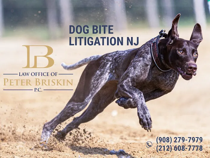 NYC Personal Injury Experts 4