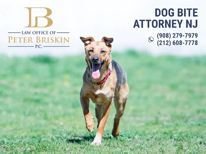 NYC Personal Injury Experts 4