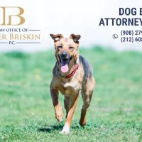 NYC Personal Injury Experts ico