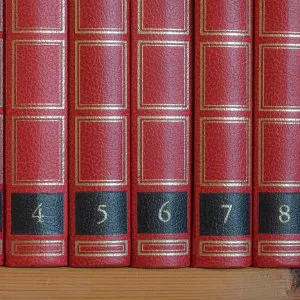 Lipsig, Shapey, Manus & Moverman, P.C. 4
