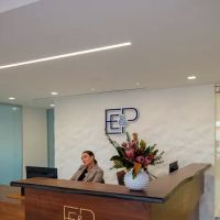 Elefterakis, Elefterakis & Panek ico