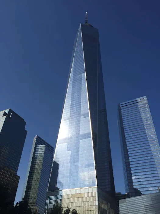 Borri Law Offices 4