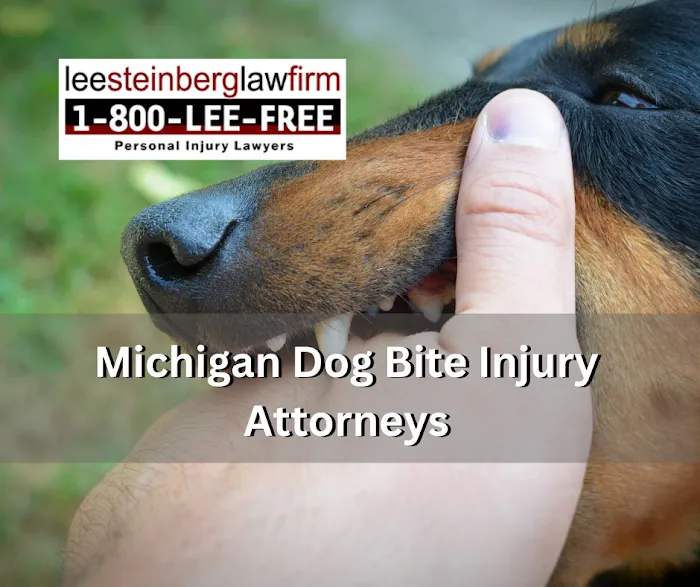 Lee Steinberg Injury Law Firm 5