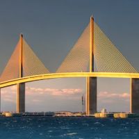 Greater Tampa Law, P.L. ico