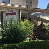 Law Office of David Knoll ico