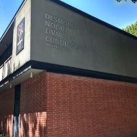 Desmond Nolan Livaich & Cunningham ico